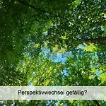 Ostsee-urlaub-zempin Direkt Am Kuestenwald, Nur Wenige Minuten Zum Strand, Optimal Fuer Paare Mit 1 Hund Bis 45 Cm Schulterhoehe Apartament