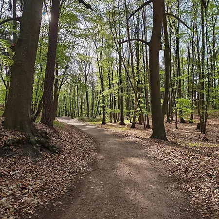 Ostsee-urlaub-zempin * Zempin
