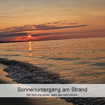 Ostsee-urlaub-zempin Direkt Am Küstenwald, Nur Wenige Minuten Zum Strand, Optimal Für Paare Mit 1 Hund Bis 45 Cm Schulterhöhe Zempin