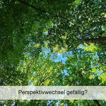 Ostsee-urlaub-zempin Direkt Am Küstenwald, Nur Wenige Minuten Zum Strand, Optimal Für Paare Mit 1 Hund Bis 45 Cm Schulterhöhe Apartment
