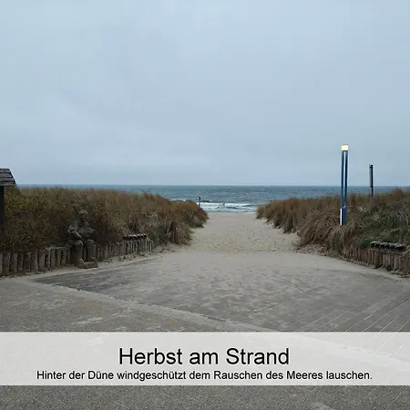 Ostsee-urlaub-zempin Direkt Am Kuestenwald, Nur Wenige Minuten Zum Strand, Optimal Fuer Paare Mit 1 Hund Bis 45 Cm Schulterhoehe