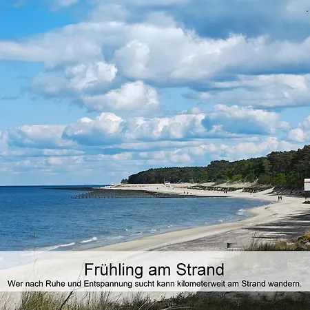 Ostsee-urlaub-zempin Direkt Am Kuestenwald, Nur Wenige Minuten Zum Strand, Optimal Fuer Paare Mit 1 Hund Bis 45 Cm Schulterhoehe Apartman