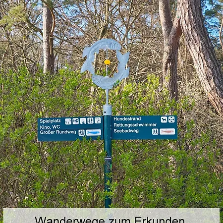 Ostsee-urlaub-zempin Direkt Am Küstenwald, Nur Wenige Minuten Zum Strand, Optimal Für Paare Mit 1 Hund Bis 45 Cm Schulterhöhe Zempin