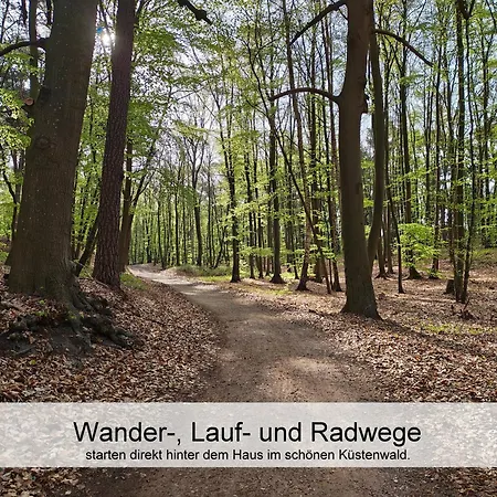 Ostsee-urlaub-zempin Direkt Am Küstenwald, Nur Wenige Minuten Zum Strand, Optimal Für Paare Mit 1 Hund Bis 45 Cm Schulterhöhe Apartment