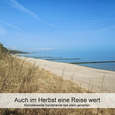 Ostsee-urlaub-zempin Direkt Am Kuestenwald, Nur Wenige Minuten Zum Strand, Optimal Fuer Paare Mit 1 Hund Bis 45 Cm Schulterhoehe Apartman *
