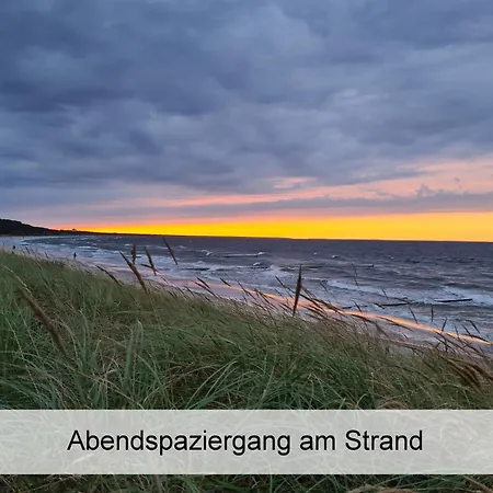 Lejlighed Ostsee-urlaub-zempin Direkt Am Kuestenwald, Nur Wenige Minuten Zum Strand, Optimal Fuer Paare Mit 1 Hund Bis 45 Cm Schulterhoehe *