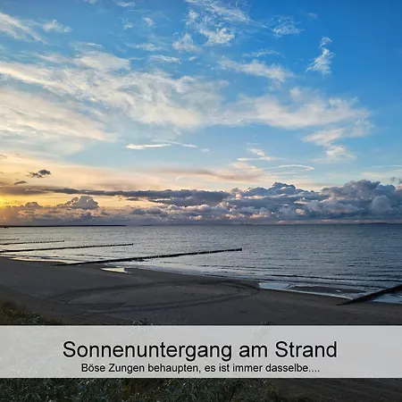 Apartment Ostsee-urlaub-zempin Direkt Am Küstenwald, Nur Wenige Minuten Zum Strand, Optimal Für Paare Mit 1 Hund Bis 45 Cm Schulterhöhe