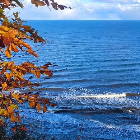 Ostsee-urlaub-zempin Direkt Am Küstenwald, Nur Wenige Minuten Zum Strand, Optimal Für Paare Mit 1 Hund Bis 45 Cm Schulterhöhe Apartment