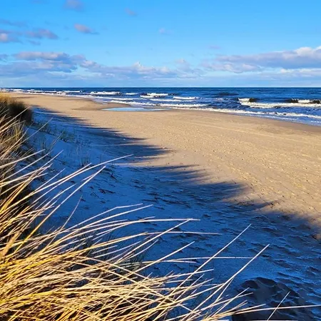 Ostsee-urlaub-zempin Direkt Am Kuestenwald, Nur Wenige Minuten Zum Strand, Optimal Fuer Paare Mit 1 Hund Bis 45 Cm Schulterhoehe *