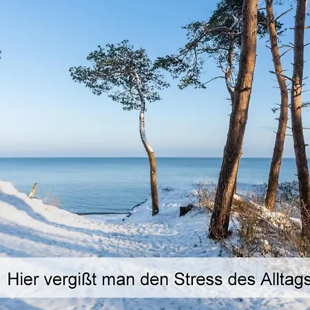Ostsee-urlaub-zempin Direkt Am Kuestenwald, Nur Wenige Minuten Zum Strand, Optimal Fuer Paare Mit 1 Hund Bis 45 Cm Schulterhoehe Lejlighed *