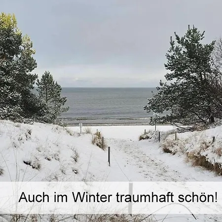 Apartment Ostsee-urlaub-zempin Direkt Am Küstenwald, Nur Wenige Minuten Zum Strand, Optimal Für Paare Mit 1 Hund Bis 45 Cm Schulterhöhe Zempin