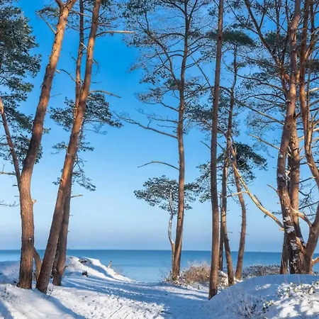 Apartman Ostsee-urlaub-zempin Direkt Am Kuestenwald, Nur Wenige Minuten Zum Strand, Optimal Fuer Paare Mit 1 Hund Bis 45 Cm Schulterhoehe