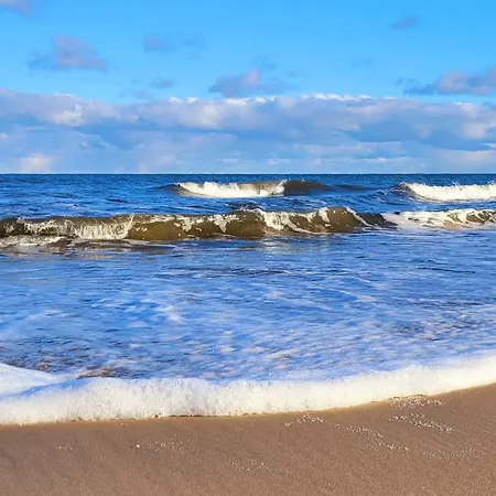 Ostsee-urlaub-zempin Direkt Am Kuestenwald, Nur Wenige Minuten Zum Strand, Optimal Fuer Paare Mit 1 Hund Bis 45 Cm Schulterhoehe شقة