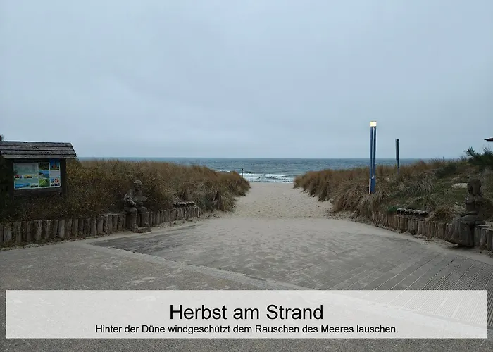 Ostsee-urlaub-zempin Direkt Am Kuestenwald, Nur Wenige Minuten Zum Strand, Optimal Fuer Paare Mit 1 Hund Bis 45 Cm Schulterhoehe
