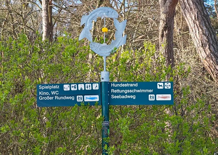 Ostsee-urlaub-zempin Direkt Am Kuestenwald, Nur Wenige Minuten Zum Strand, Optimal Fuer Paare Mit 1 Hund Bis 45 Cm Schulterhoehe زيمبين