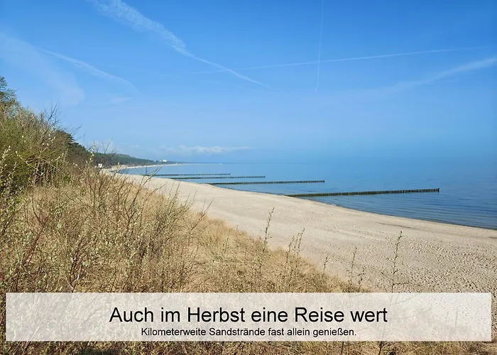 Ostsee-urlaub-zempin Direkt Am Kuestenwald, Nur Wenige Minuten Zum Strand, Optimal Fuer Paare Mit 1 Hund Bis 45 Cm Schulterhoehe شقة *