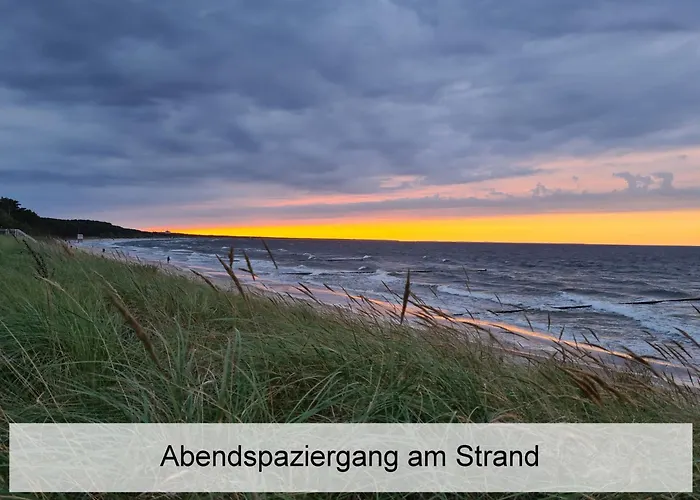 شقة Ostsee-urlaub-zempin Direkt Am Kuestenwald, Nur Wenige Minuten Zum Strand, Optimal Fuer Paare Mit 1 Hund Bis 45 Cm Schulterhoehe *