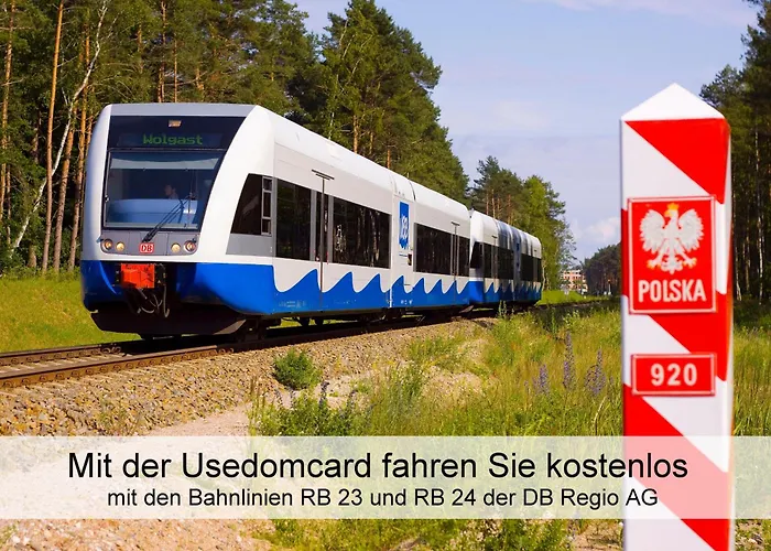 Ostsee-urlaub-zempin Direkt Am Kuestenwald, Nur Wenige Minuten Zum Strand, Optimal Fuer Paare Mit 1 Hund Bis 45 Cm Schulterhoehe *