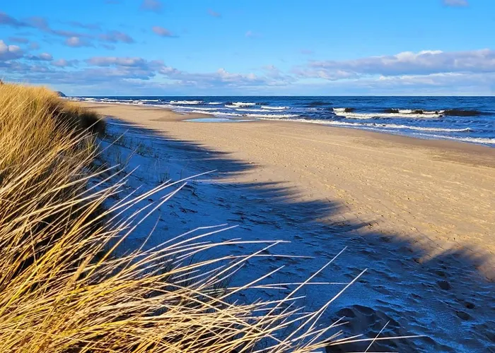 Ostsee-urlaub-zempin Direkt Am Kuestenwald, Nur Wenige Minuten Zum Strand, Optimal Fuer Paare Mit 1 Hund Bis 45 Cm Schulterhoehe *