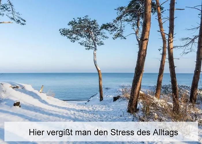 Ostsee-urlaub-zempin Direkt Am Kuestenwald, Nur Wenige Minuten Zum Strand, Optimal Fuer Paare Mit 1 Hund Bis 45 Cm Schulterhoehe شقة *