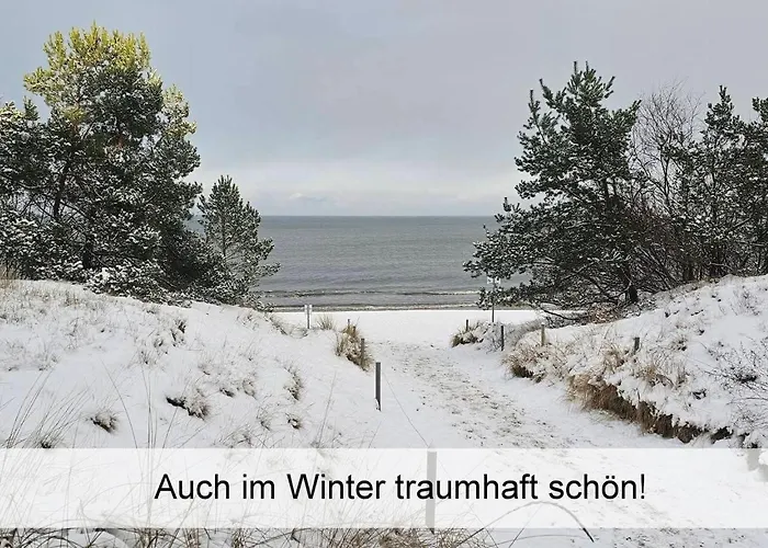 شقة Ostsee-urlaub-zempin Direkt Am Kuestenwald, Nur Wenige Minuten Zum Strand, Optimal Fuer Paare Mit 1 Hund Bis 45 Cm Schulterhoehe زيمبين