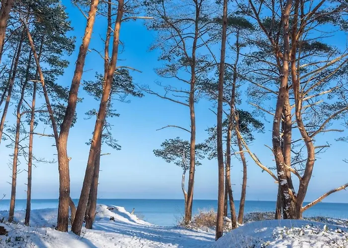شقة Ostsee-urlaub-zempin Direkt Am Kuestenwald, Nur Wenige Minuten Zum Strand, Optimal Fuer Paare Mit 1 Hund Bis 45 Cm Schulterhoehe