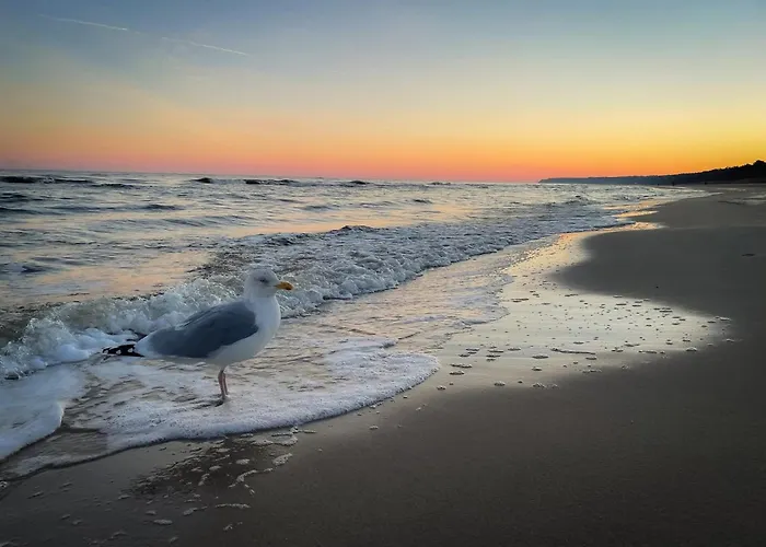 شقة Ostsee-urlaub-zempin Direkt Am Kuestenwald, Nur Wenige Minuten Zum Strand, Optimal Fuer Paare Mit 1 Hund Bis 45 Cm Schulterhoehe