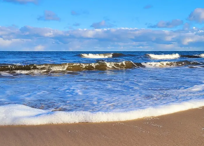 Ostsee-urlaub-zempin Direkt Am Kuestenwald, Nur Wenige Minuten Zum Strand, Optimal Fuer Paare Mit 1 Hund Bis 45 Cm Schulterhoehe شقة